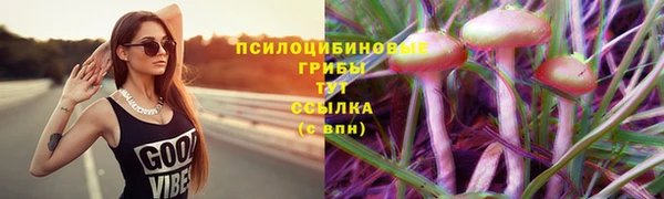 меф Каменск-Шахтинский