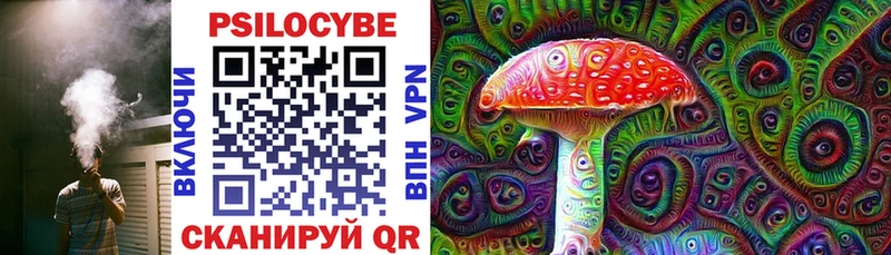 Купить  Гатчина  Галлюциногенные грибы Magic Shrooms 